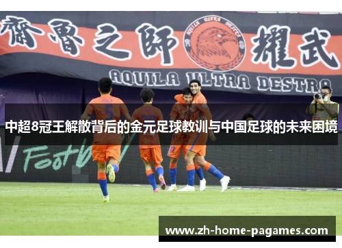 中超8冠王解散背后的金元足球教训与中国足球的未来困境