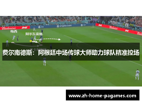 费尔南德斯：阿根廷中场传球大师助力球队精准控场