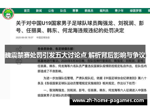 魏震禁赛处罚引发五大讨论点 解析背后影响与争议