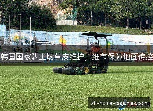 韩国国家队主场草皮维护，细节保障地面传控